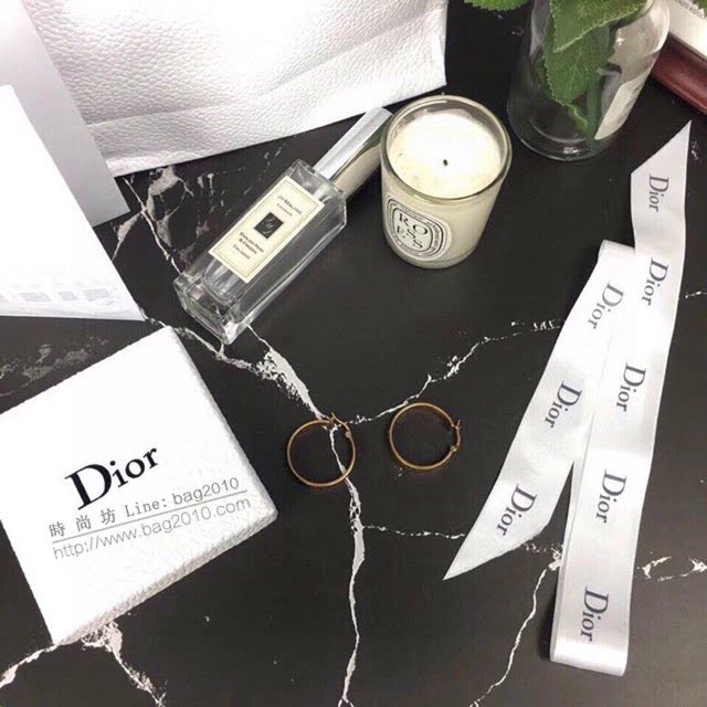 Dior飾品 迪奧經典熱銷款個性耳釘 復古字母CD耳環  zgd1024